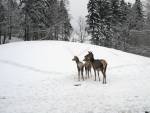 img_5102-kopie