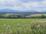 IMG-20240724-WA0003