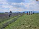 IMG-20240724-WA0008