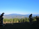 IMG_6385