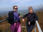 IMG_20260425_105242