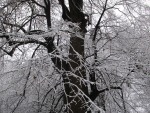 IMG_2483