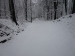 IMG_2511