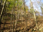 IMG_2452