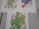 IMG-20240529-WA0013