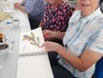 IMG-20240529-WA0018