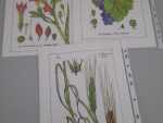IMG-20240529-WA0020