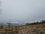 IMG-20250201-WA0002