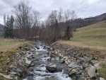 IMG-20250201-WA0009