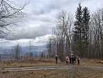 IMG-20250201-WA0011