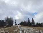 IMG-20250201-WA0012
