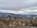 IMG-20250201-WA0018