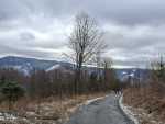 IMG-20250201-WA0020