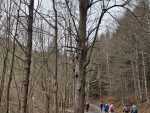 IMG-20250201-WA0023
