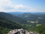 IMG_7949