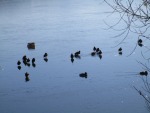 IMG_2752