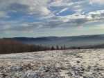 IMG-20241228-WA0006