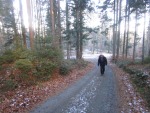 IMG_2548