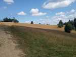 IMG-20240806-WA0010