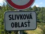 IMG-20240806-WA0019
