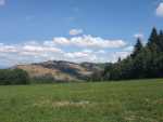 IMG-20240806-WA0025