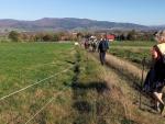 IMG_20221018_140948