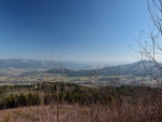 8b