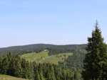 IMG-20250624-WA0010