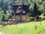 IMG-20250624-WA0019