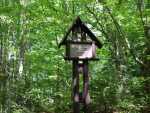 IMG-20250624-WA0021