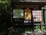 IMG-20250624-WA0027