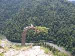 IMG-20250624-WA0047