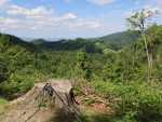 IMG-20250624-WA0073
