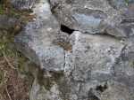 IMG-20250624-WA0077