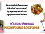 Wanda-W