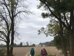 IMG-20241026-WA0002