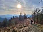 IMG-20250208-WA0006
