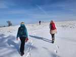 IMG-20250208-WA0012