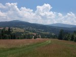 IMG_20240629_124003