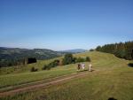 IMG_20200821_080208