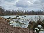 IMG-20260225-WA0020