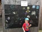IMG-20240511-WA0028