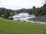 IMG_2229