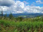 Widok na Beskid Śląski