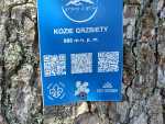 IMG-20260815-WA0004