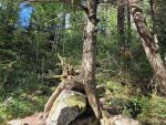 dzien-czwarty-2