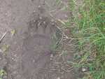 IMG-20240720-WA0008