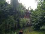 IMG-20240703-WA0019