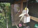 IMG-20240703-WA0024