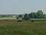 IMG-20240606-WA0000